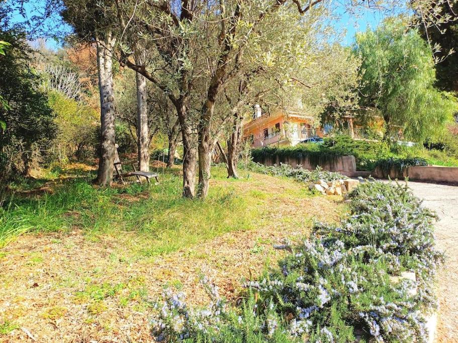 Вилла Un Brin De Paille Кань-сюр-Мер Экстерьер фото